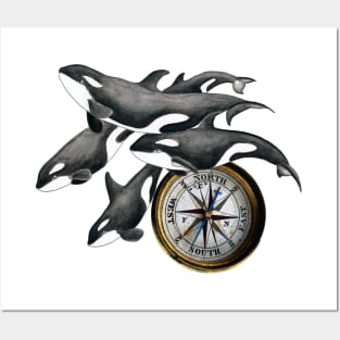 Orca whales pod and compass Marine Nautical Watercolor Art Posters and Art